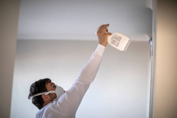 Best Home Mold Removal  in Carolina Forest, SC