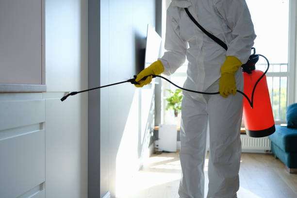 Best Toxic Mold Removal  in Carolina Forest, SC